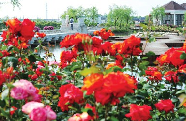 上海鲜花港怎么样_上海鲜花港_鲜花(2)