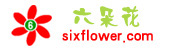 六朵花鲜花网